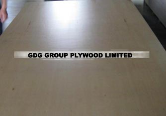 UV Lacquered Plywood